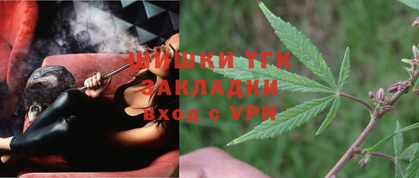 ГАЛЛЮЦИНОГЕННЫЕ ГРИБЫ Новозыбков