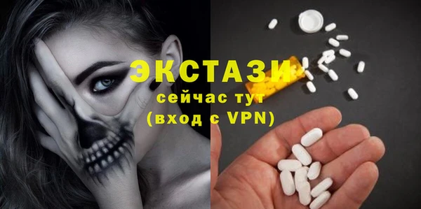 индика Новодвинск