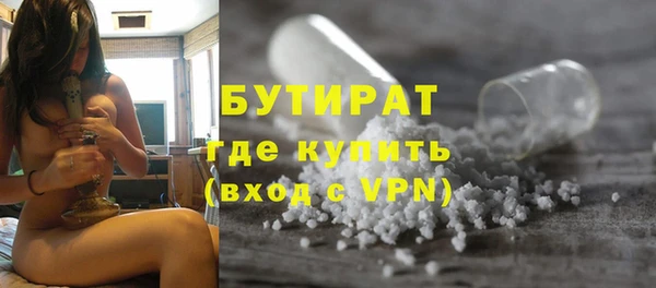 индика Новодвинск