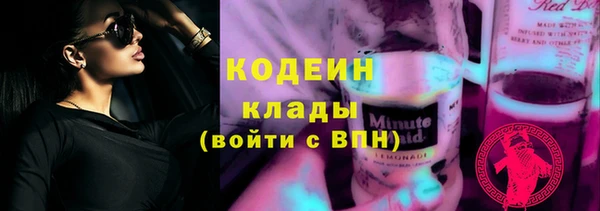 индика Новодвинск
