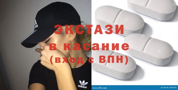 индика Новодвинск