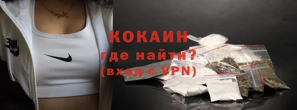 ГАЛЛЮЦИНОГЕННЫЕ ГРИБЫ Новозыбков
