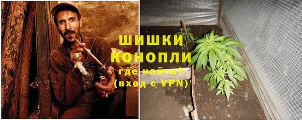 ГАЛЛЮЦИНОГЕННЫЕ ГРИБЫ Новозыбков