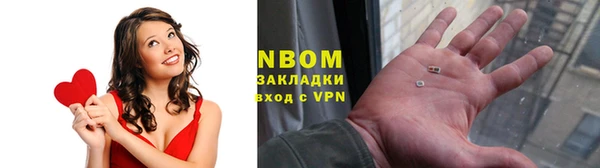 индика Новодвинск
