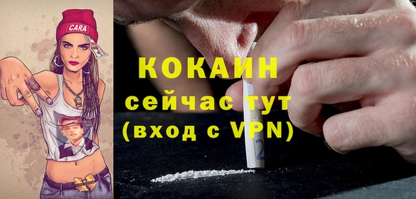 индика Новодвинск
