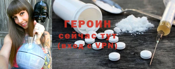 индика Новодвинск