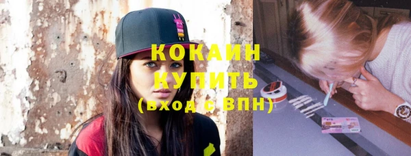 индика Новодвинск