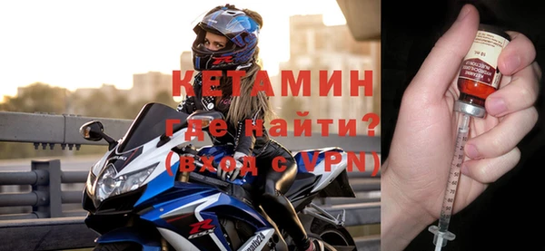 индика Новодвинск