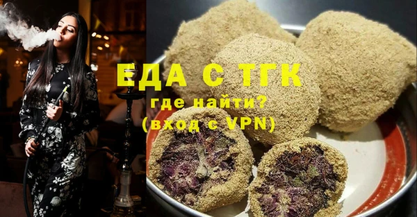 индика Новодвинск