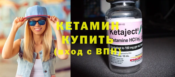 индика Новодвинск