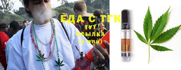 индика Новодвинск