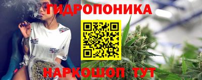 индика Аргун