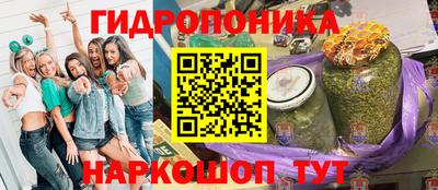 марки lsd Гай