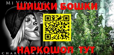 индика Апшеронск