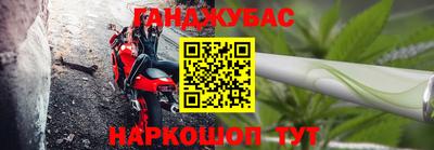 индика Аргун