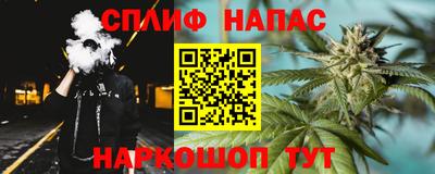 индика Апшеронск