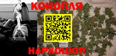 индика Аргун