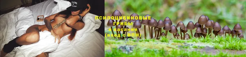 это состав  Красный Сулин  Псилоцибиновые грибы MAGIC MUSHROOMS 