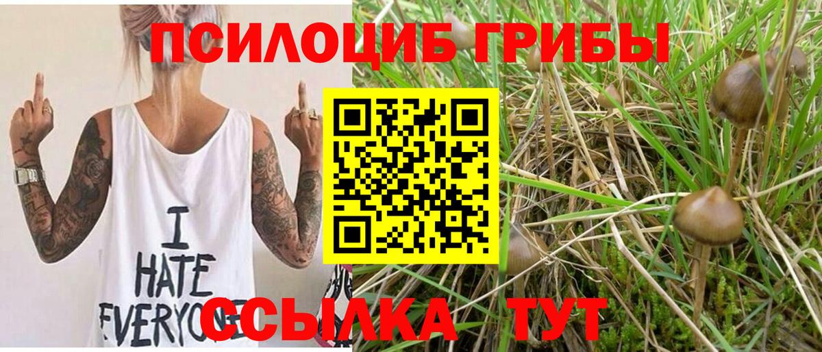 цена наркотик  Красный Сулин  Псилоцибиновые грибы MAGIC MUSHROOMS 