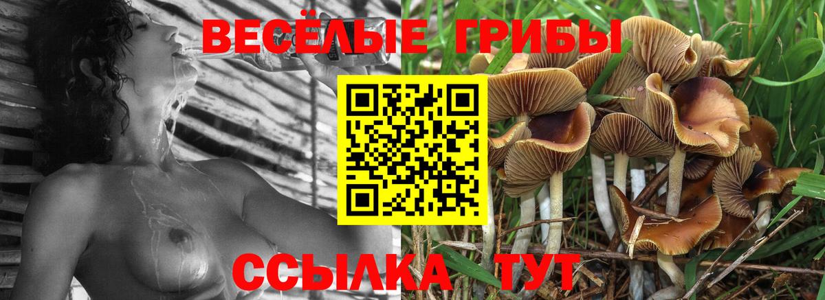 Галлюциногенные грибы мицелий Красный Сулин