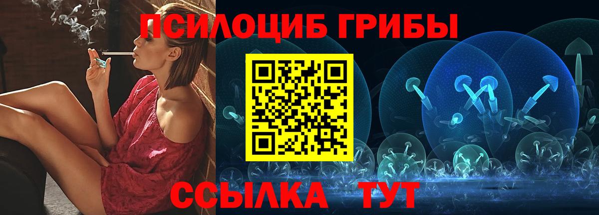 Красный Сулин  где продают   Псилоцибиновые грибы Psilocybe  Вход с VPN  Псилоцибиновые грибы мицелий 